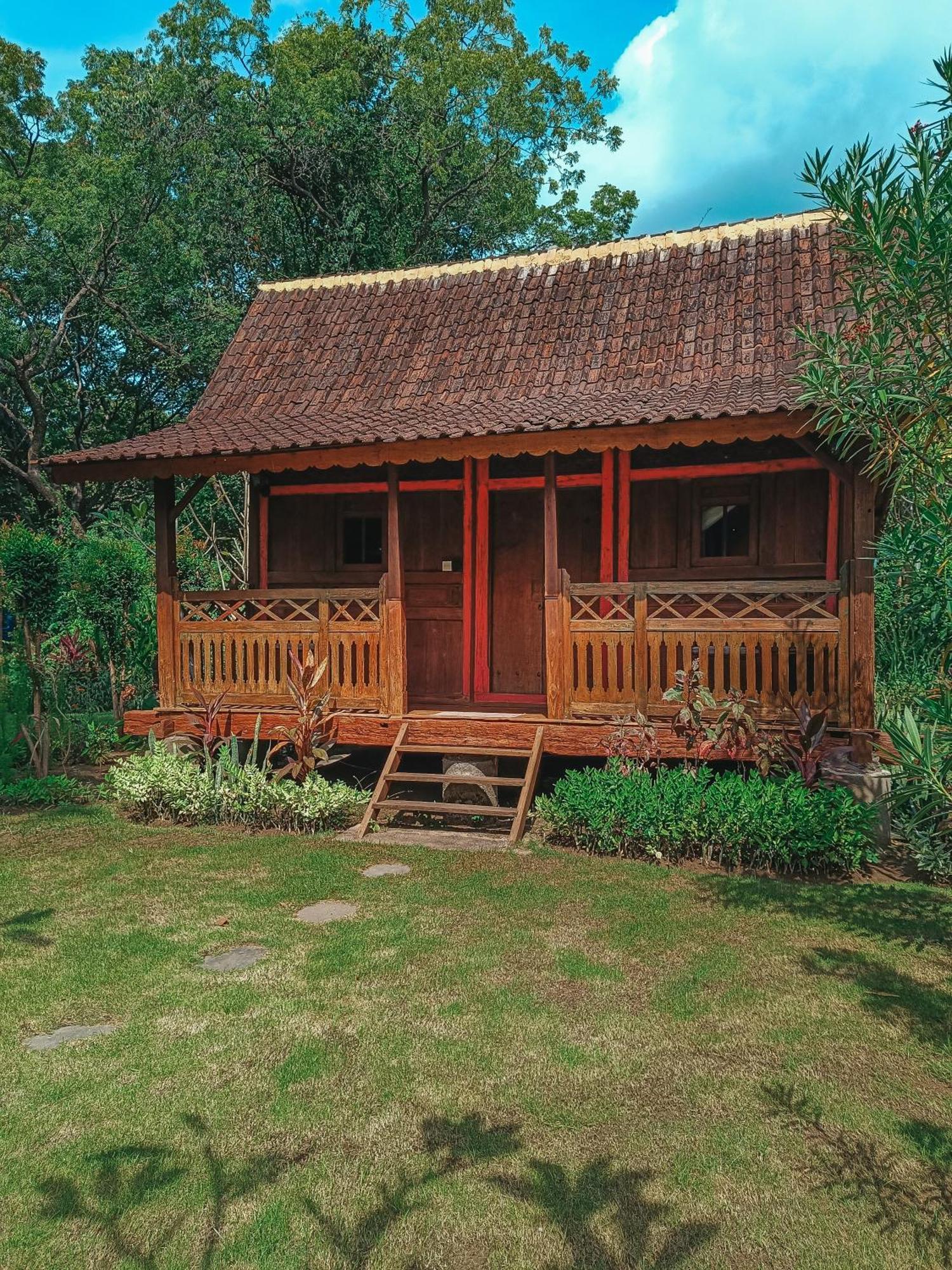 Alaya Ecolodge Pemuteran Exterior foto